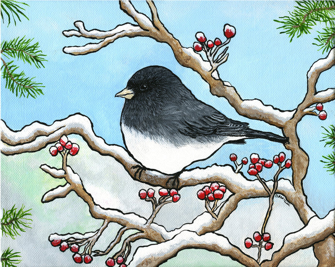 Snowbird-Dark Eyed Junco